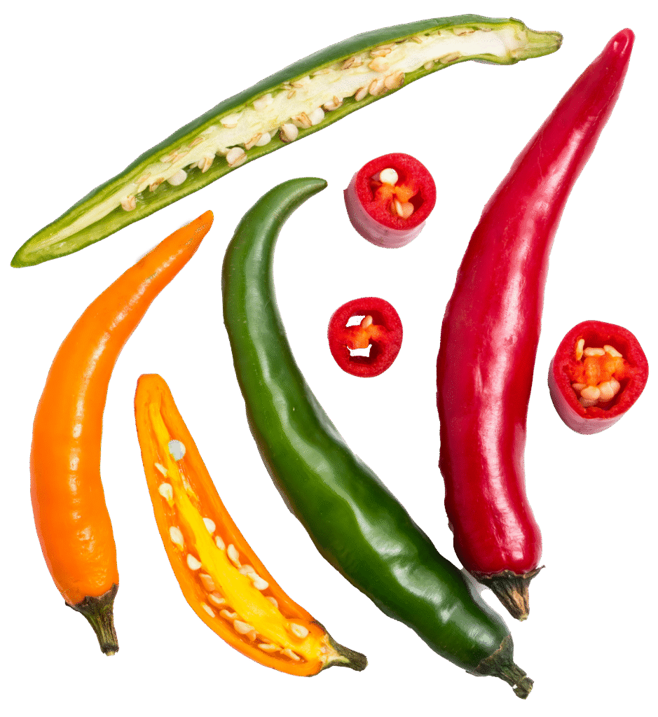 Frische Chilischoten als Zutat für frisch gekochtes Schulessen, Kitaessen und Firmenessen im Lieferservice von Aubergine & Zucchini