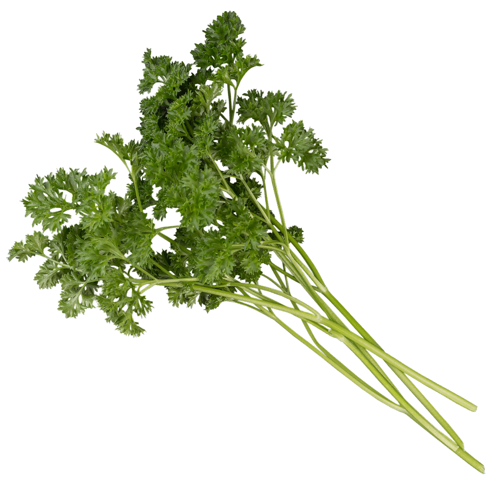 Frische Kräuter als Symbol für gesundes Mittagessen für Kitas in Meckenheim